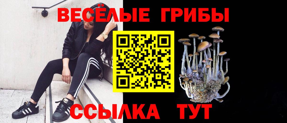 ГАШ Камень-на-Оби